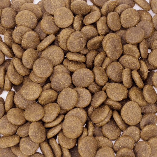 chicken grain free dog food