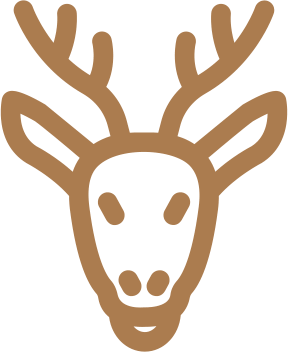 venison logo