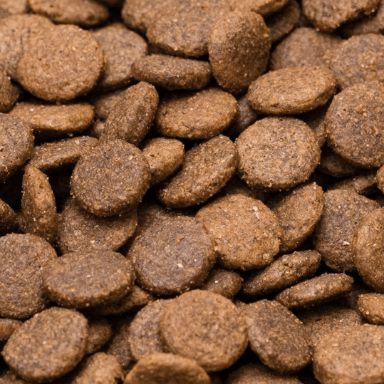 Venison grain free dog food